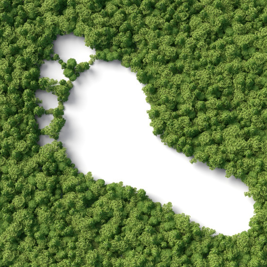 iStock 1184253348 verkleind
