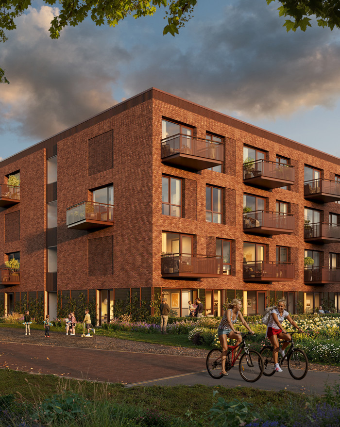 058 Plegt Vos 202 Koudenhoek LOKO 2A