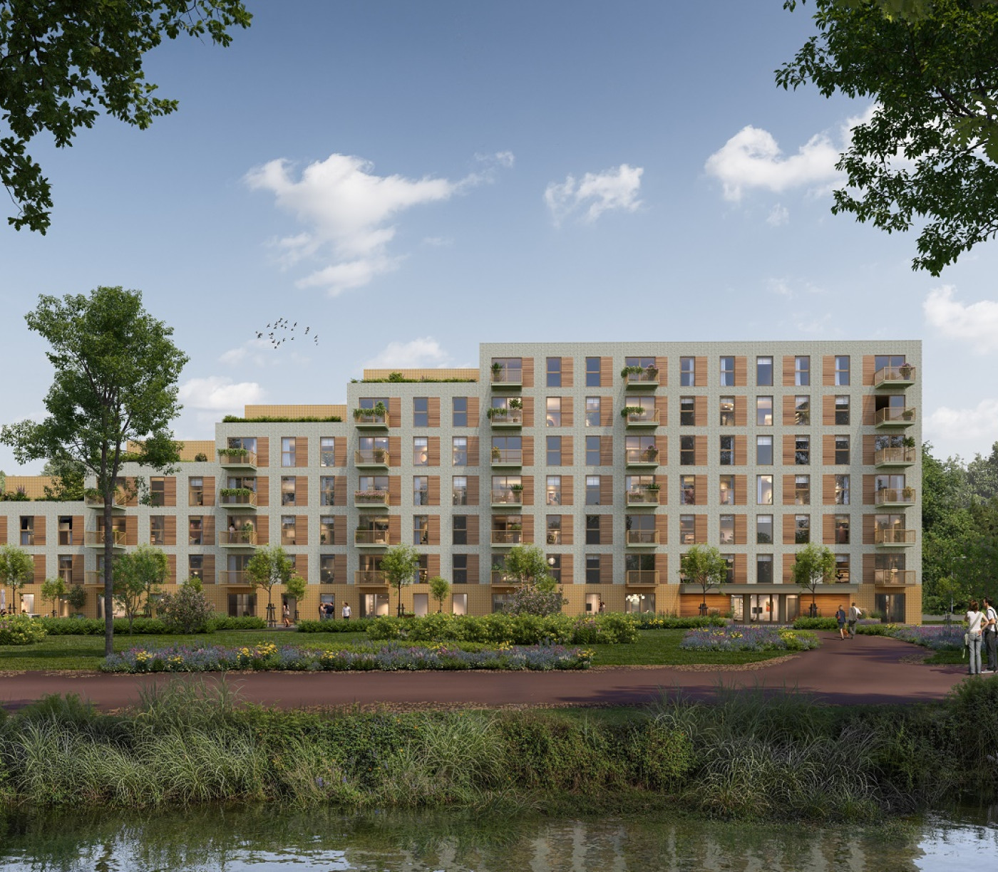 058 Plegt Vos 202 Timber 250530 Loer 03
