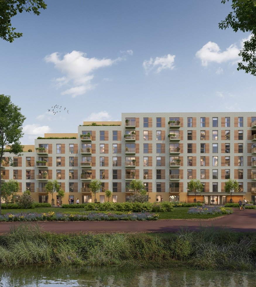 058 Plegt Vos 202 Timber 250530 Loer 03