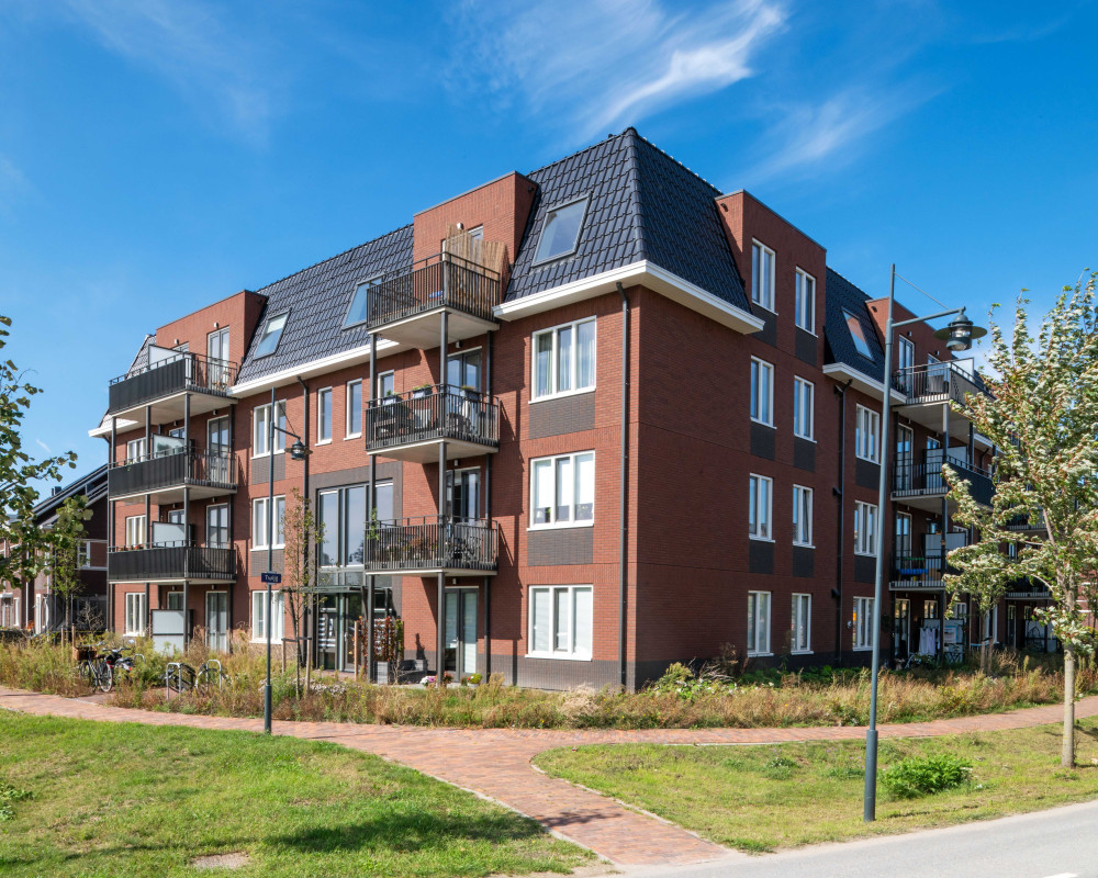 Verreweg Maassluis CSF250161 522