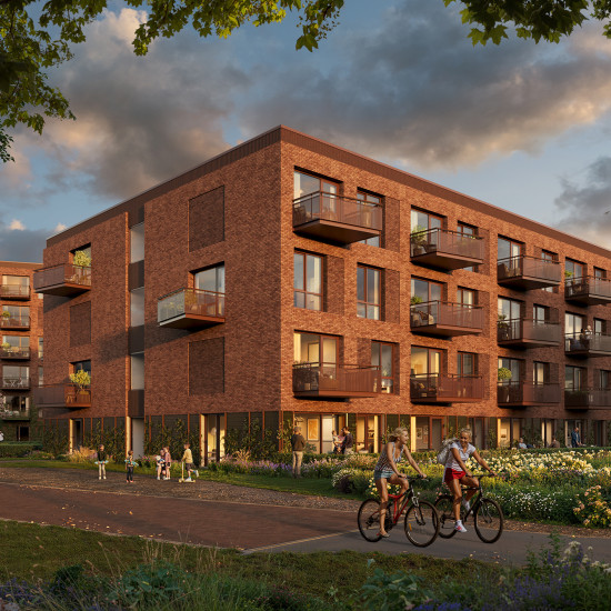 058 Plegt Vos 202 Koudenhoek LOKO 2A