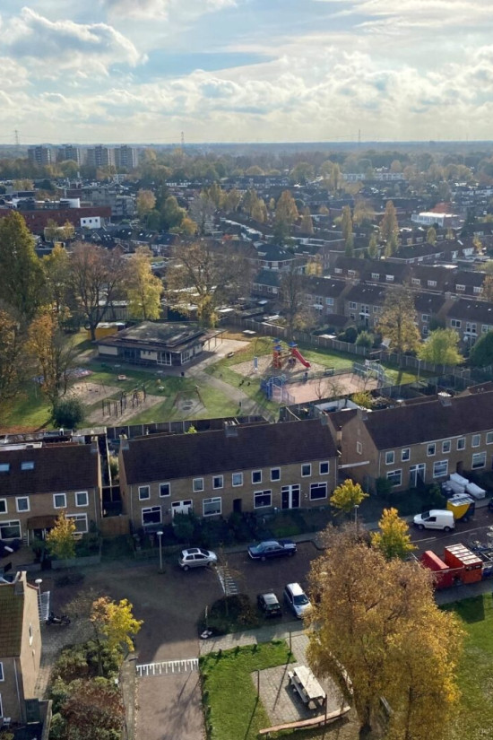 Verbeteren en verduurzamen Acaciaplantsoen