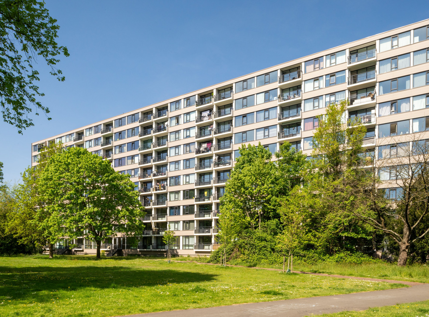 Hanoidreef Utrecht CSF250073 153