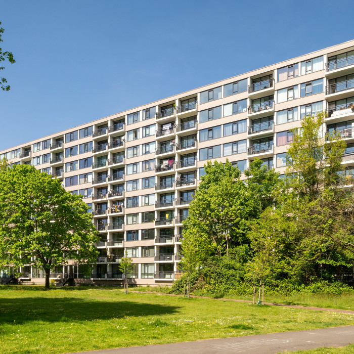 Hanoidreef Utrecht CSF250073 153