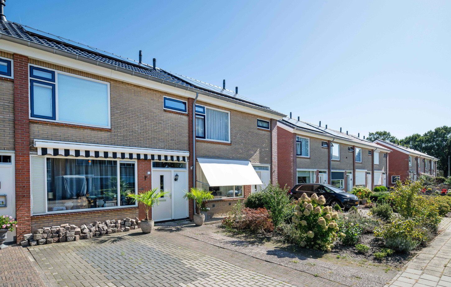 Plegt Vos Westerhaar Rozenstraat CSF260128 393