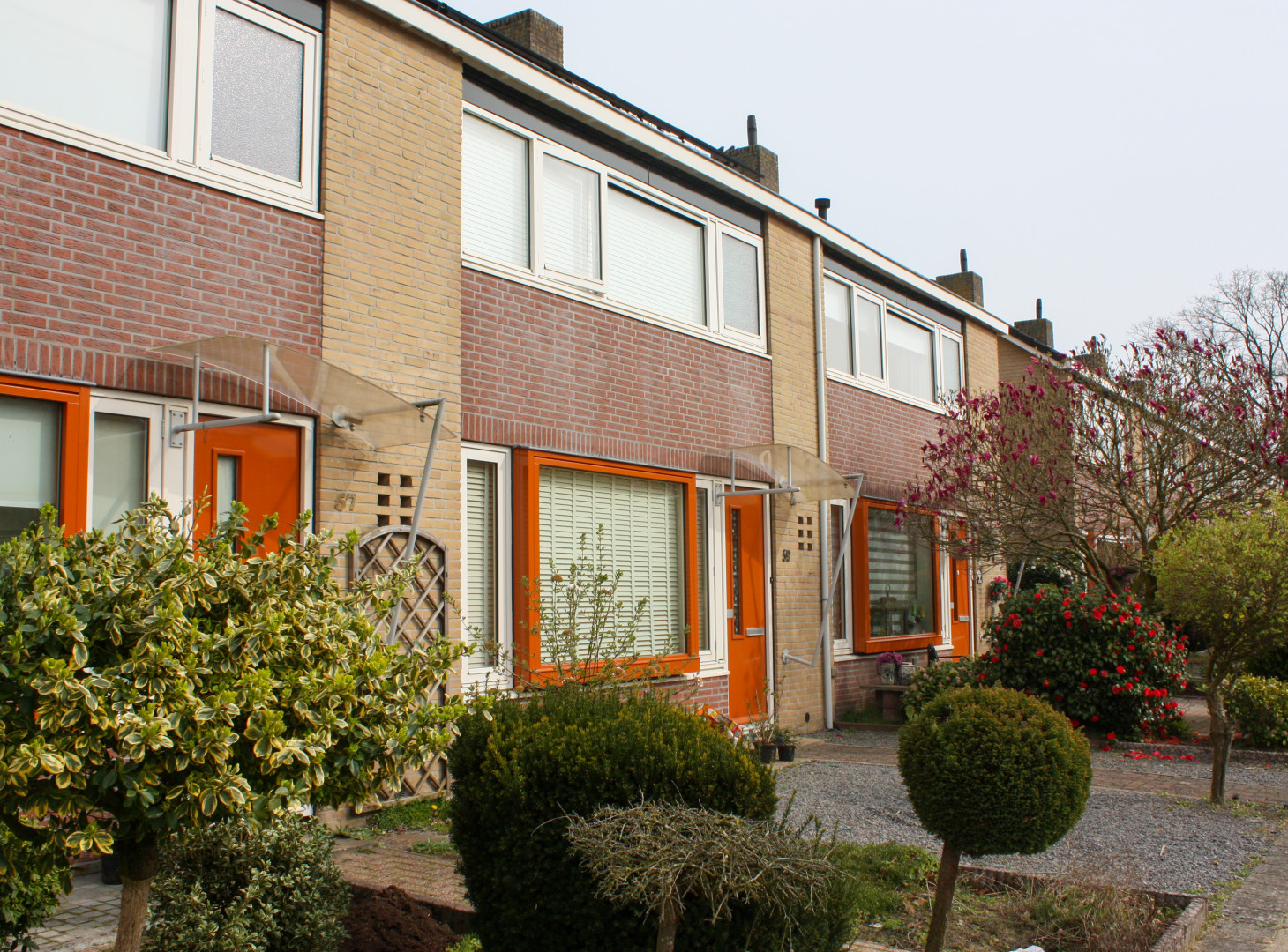 Plantjesmarkt Domijn Plegt Vos 24 3 2026 (8)