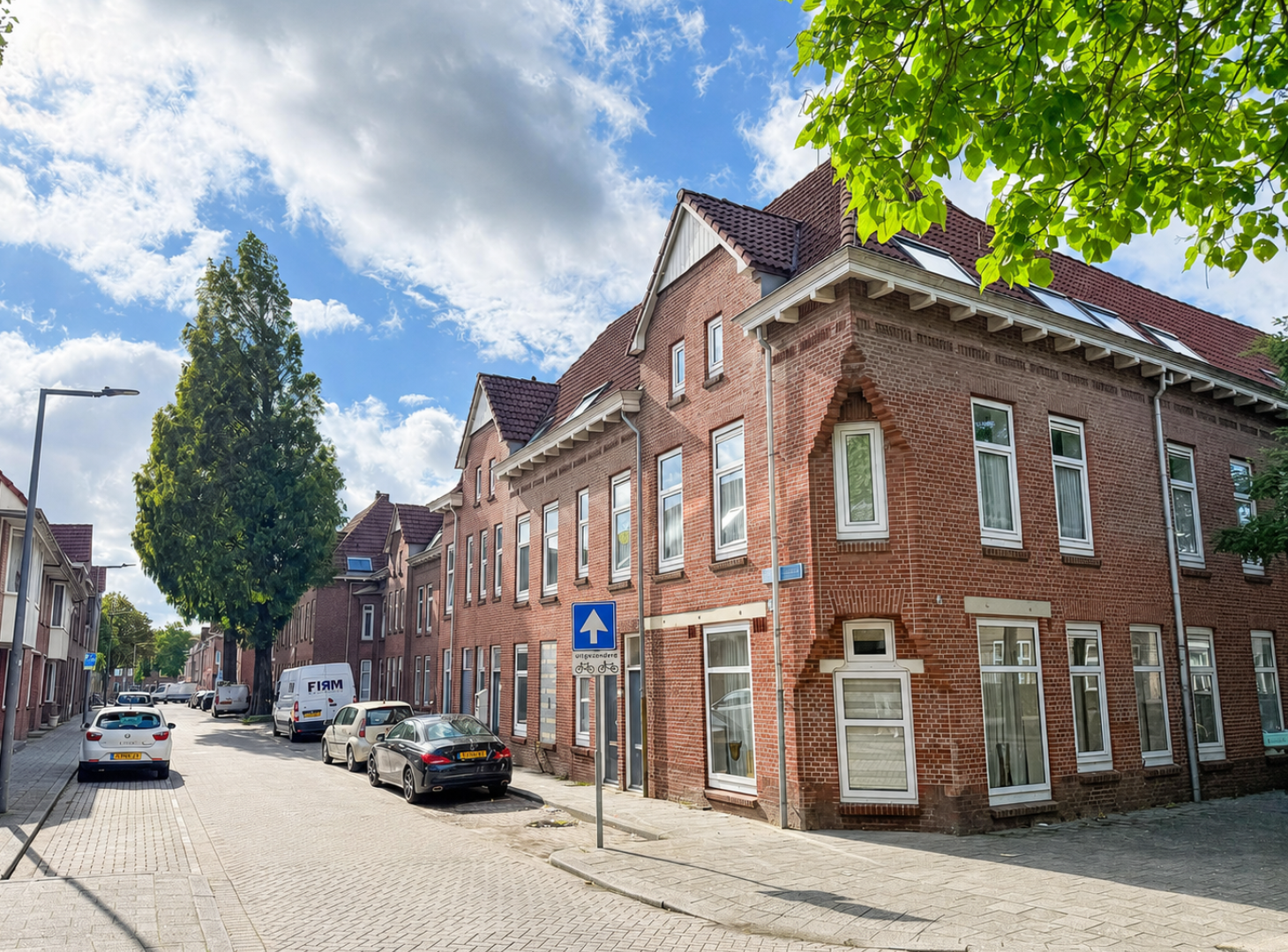 ranonkel rotterdam (1)