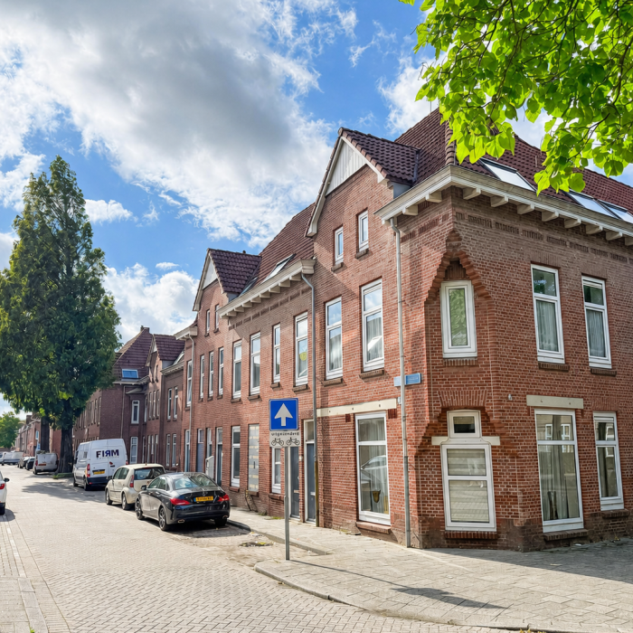 ranonkel rotterdam (1)