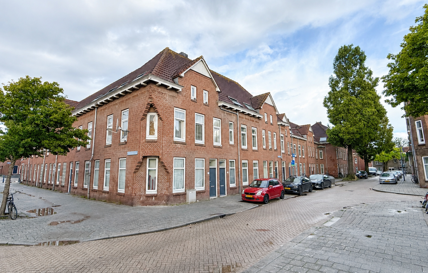 ranonkel rotterdam (2)