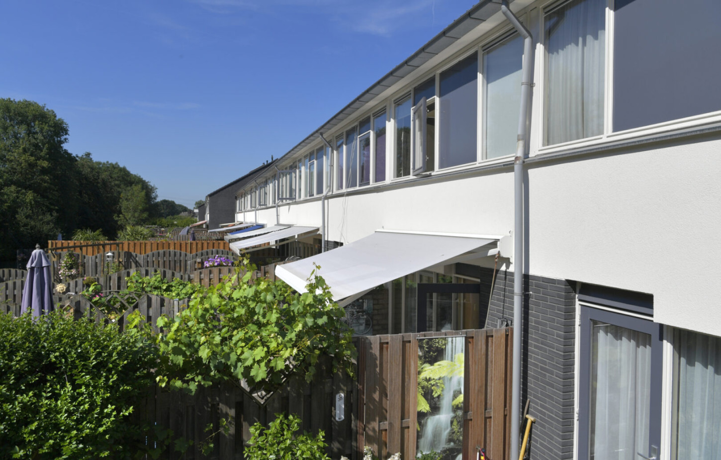 Bloemstede Maarssen CSF190214 205