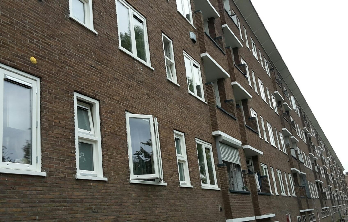 siteimg album reference 271 img 5090