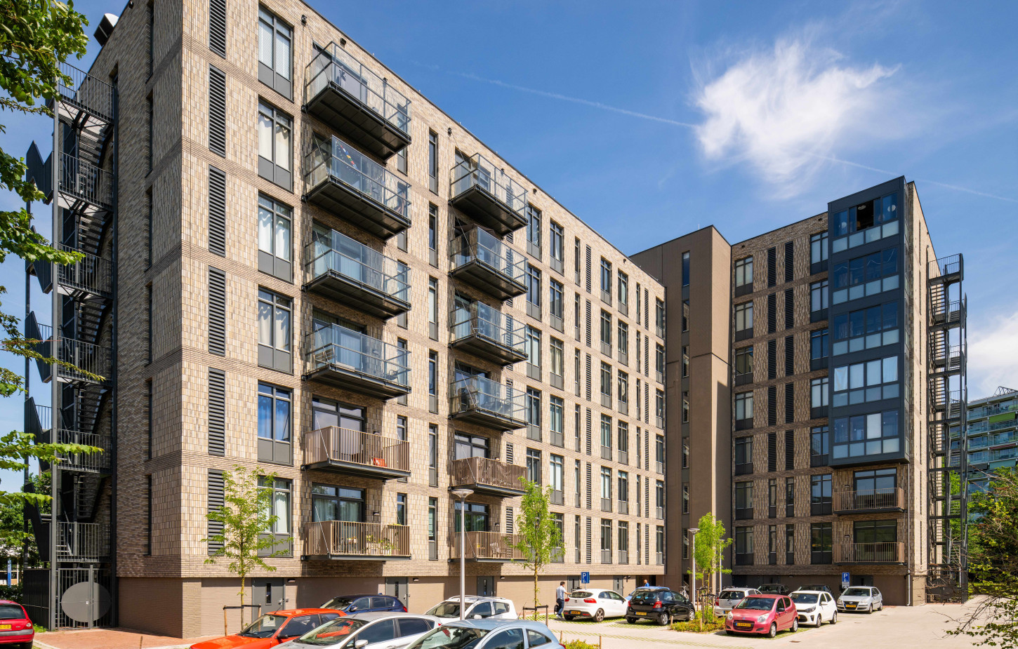 Flat Waterlelie in Zwolle CSF260092 284