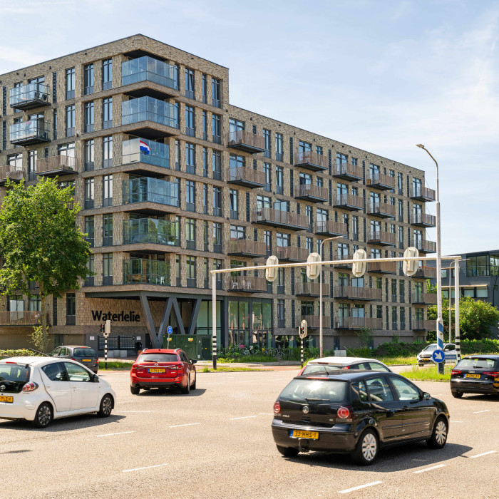 Flat Waterlelie in Zwolle CSF260092 309