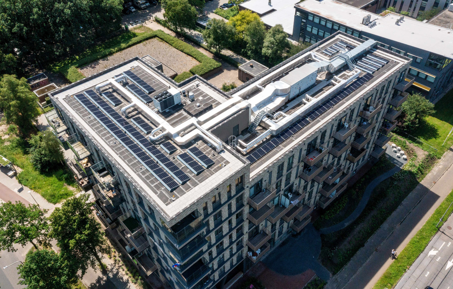 Flat Waterlelie in Zwolle CSF260092 833