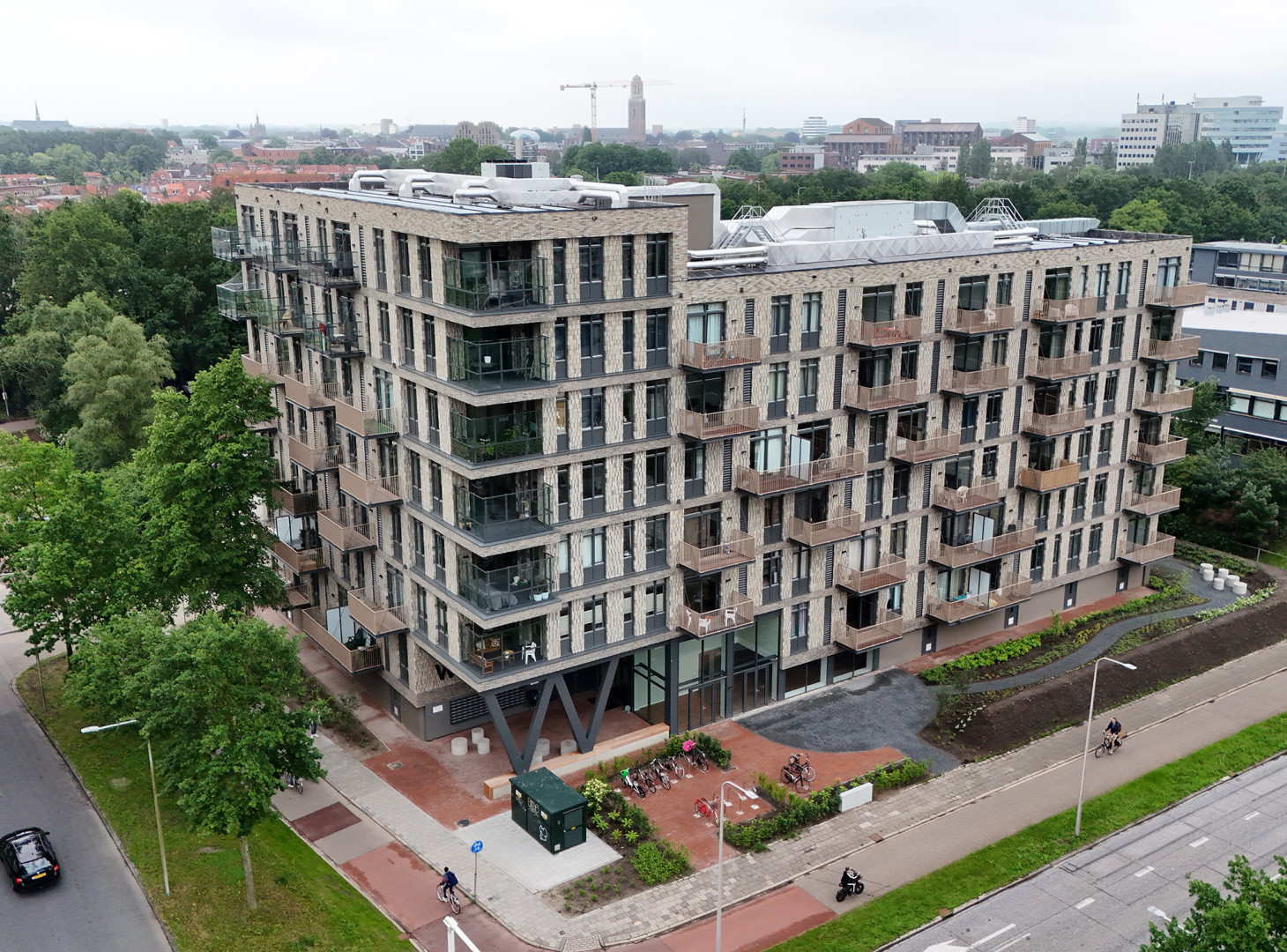 Waterlelie bovenaanzicht