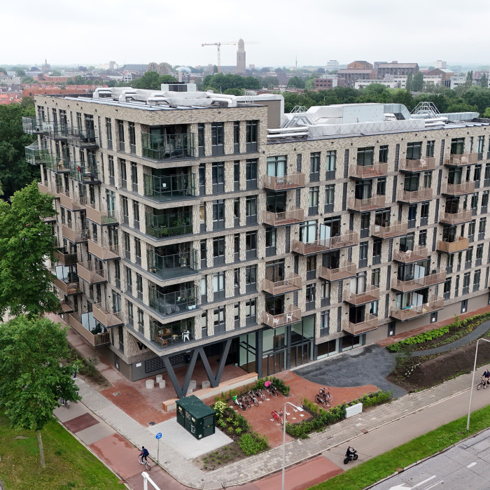 Waterlelie bovenaanzicht
