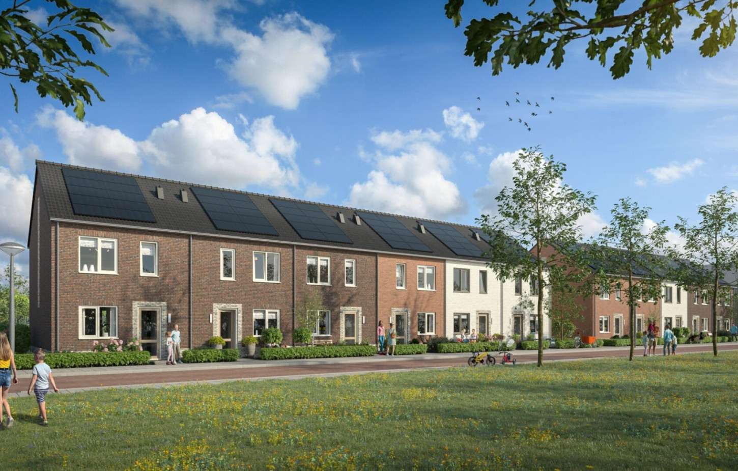 Gemeente Hardenberg 058 Plegt Vos 139 Vechtdal 6 P6 def