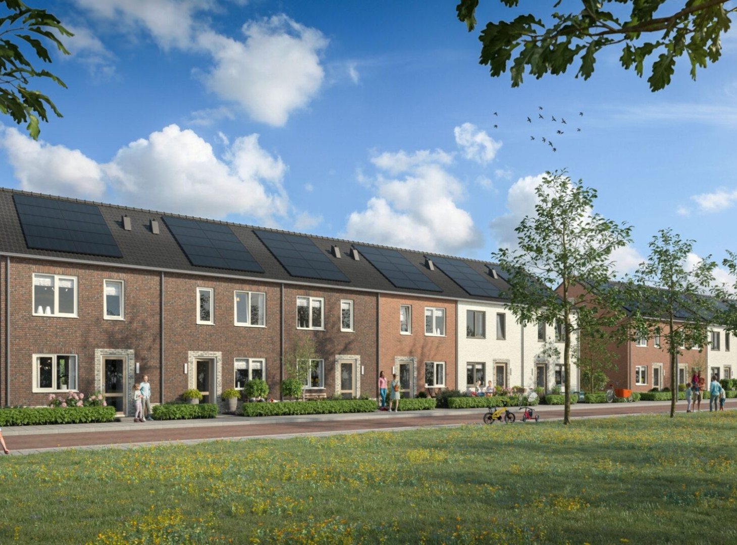 Gemeente Hardenberg 058 Plegt Vos 139 Vechtdal 6 P6 def