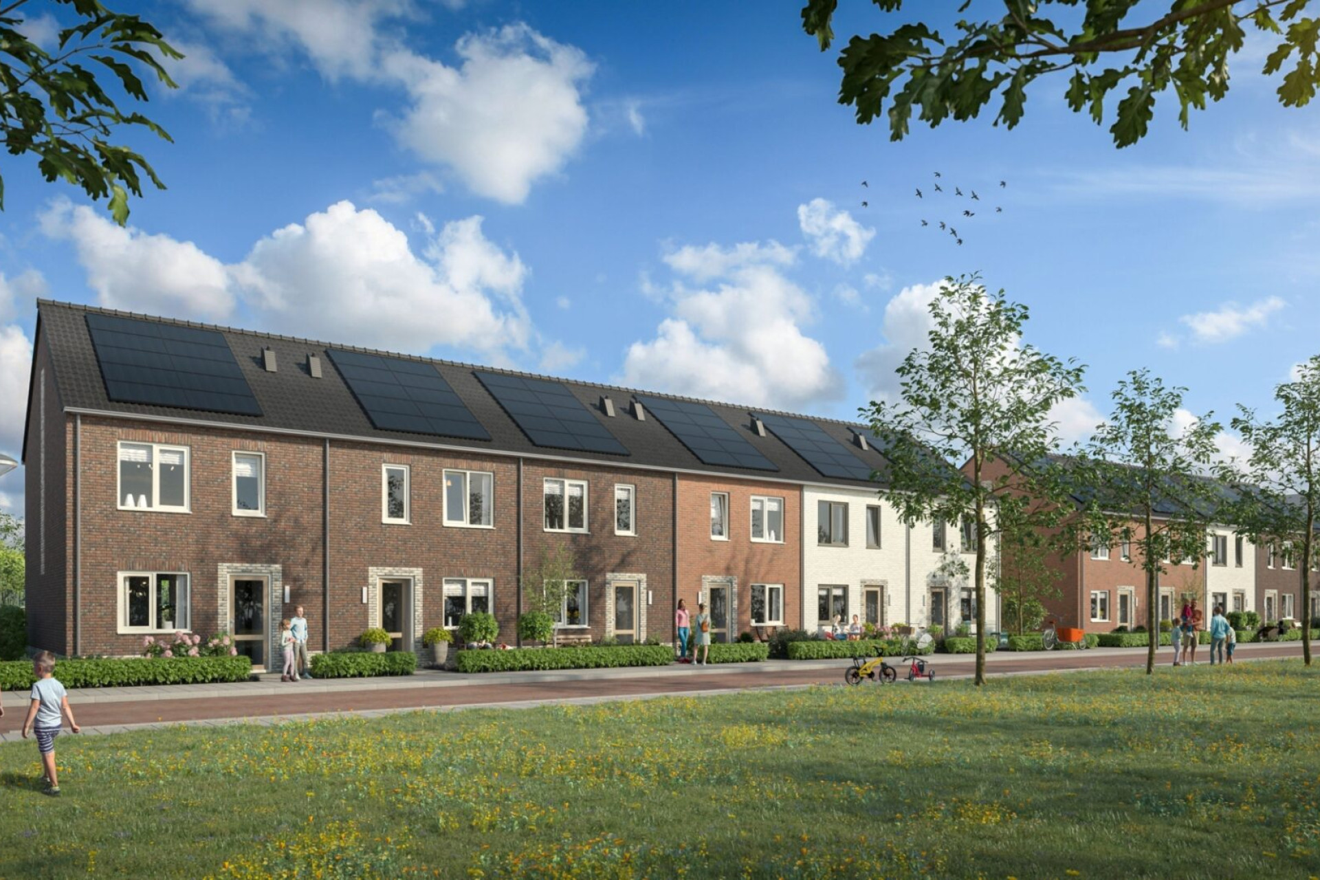 Gemeente Hardenberg 058 Plegt Vos 139 Vechtdal 6 P6 def