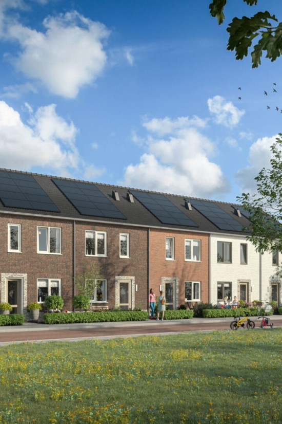Gemeente Hardenberg 058 Plegt Vos 139 Vechtdal 6 P6 def