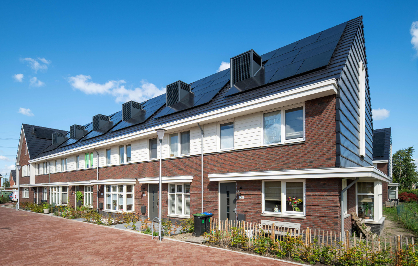 Hazerswoude Pastinaak Bouw en Infra CSF260120 426