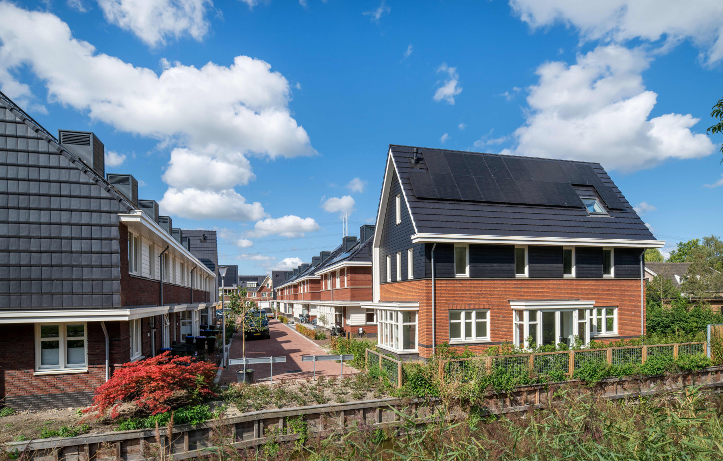 Hazerswoude Pastinaak Bouw en Infra CSF260120 496