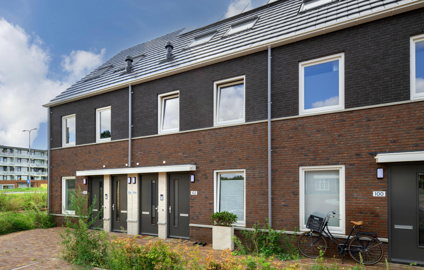 Hazerswoude Pastinaak Bouw en Infra CSF260120 568