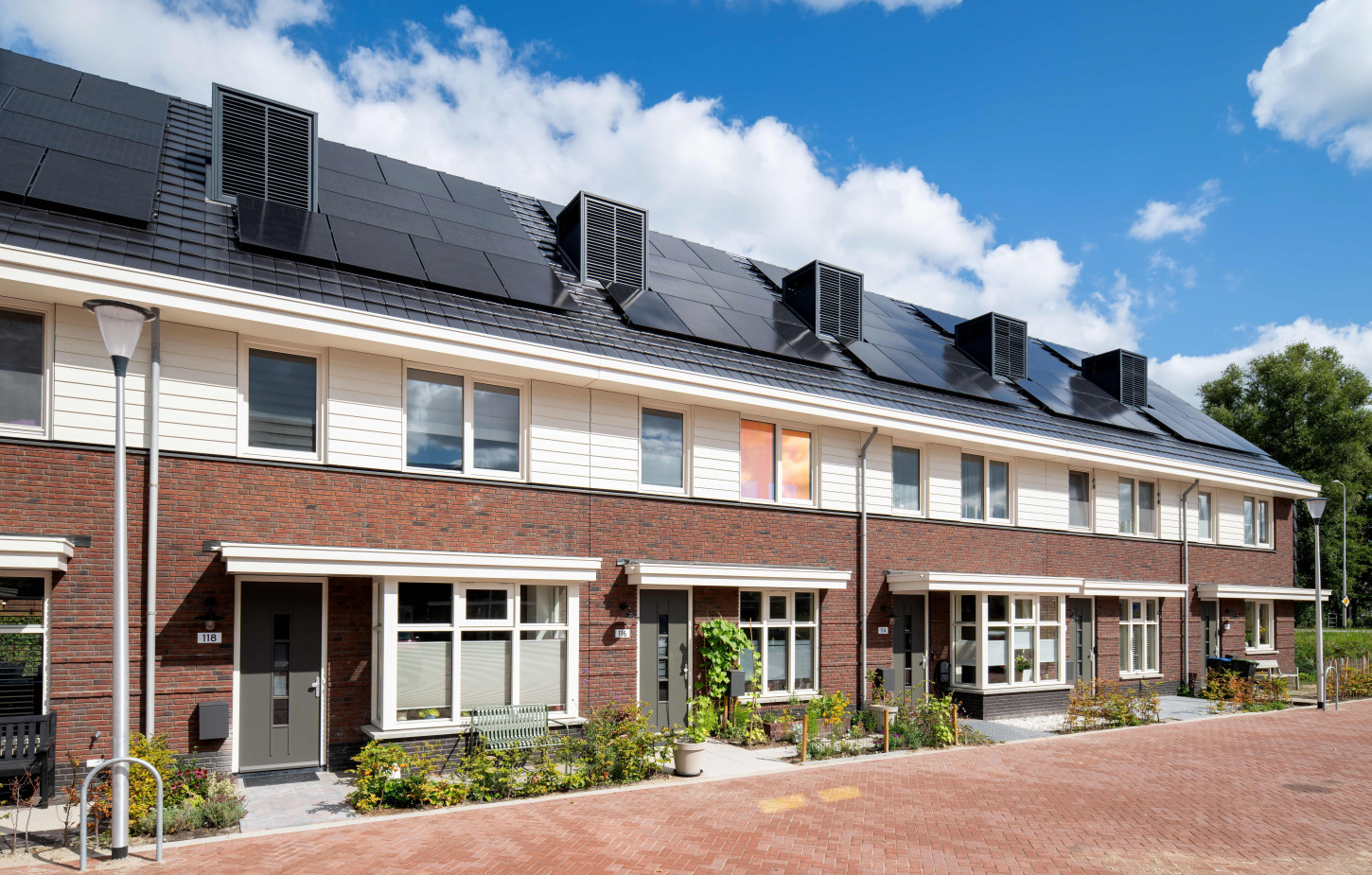 Hazerswoude Pastinaak Bouw en Infra CSF260120 572