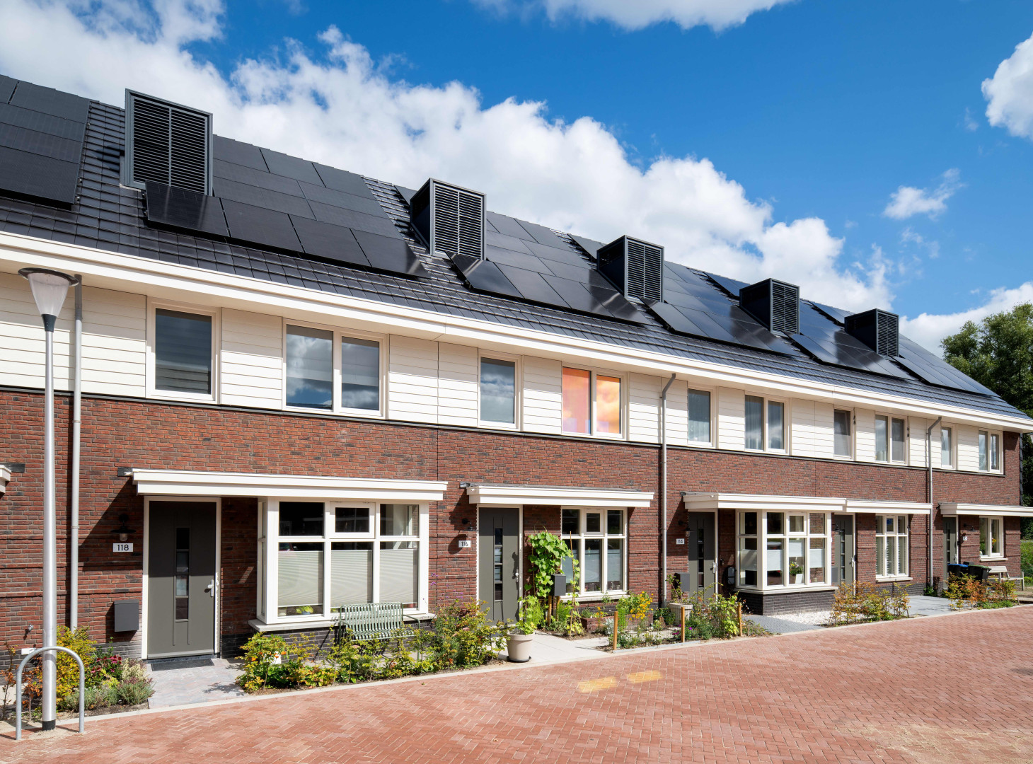 Hazerswoude Pastinaak Bouw en Infra CSF260120 572