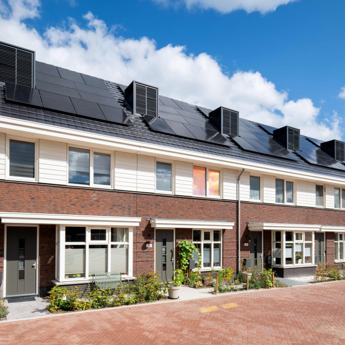 Hazerswoude Pastinaak Bouw en Infra CSF260120 572