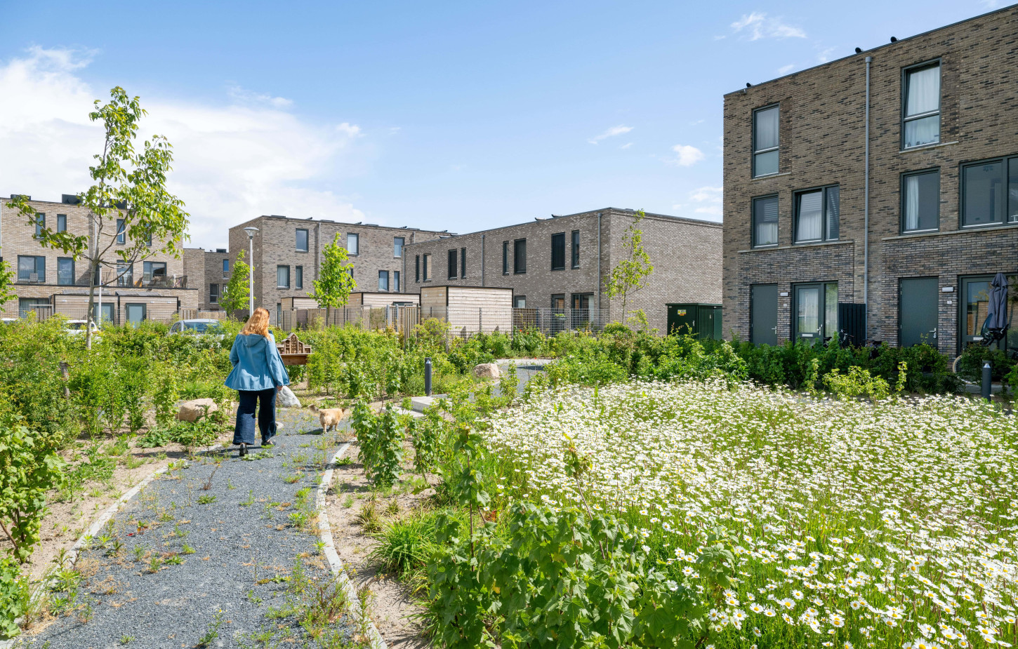 Zwolle De Tippe Infra Milieu CSF250095 36 min
