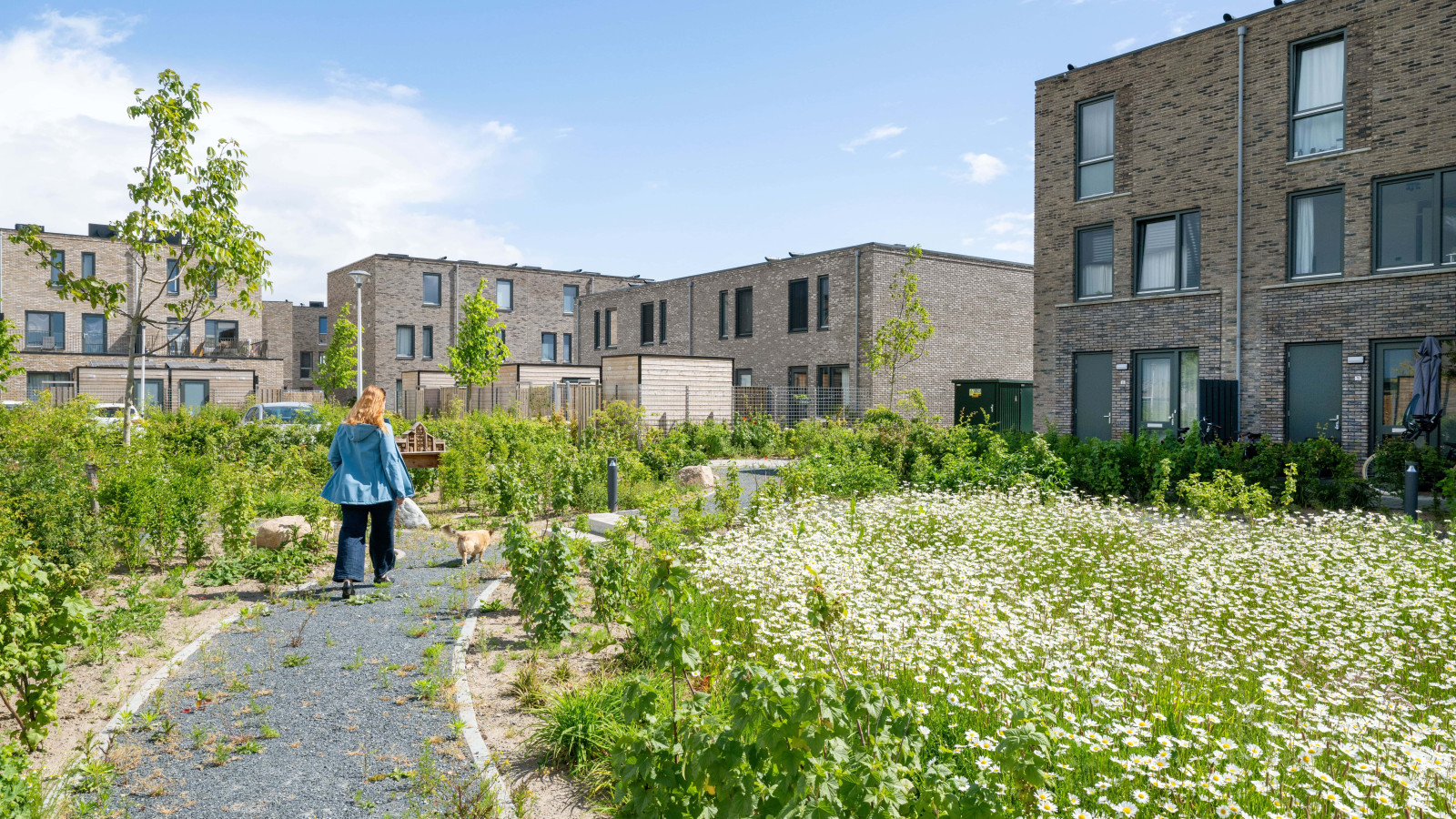 Zwolle De Tippe Infra Milieu CSF250095 36 min