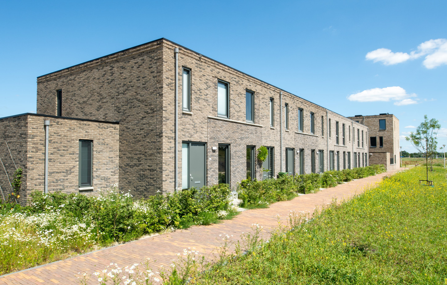 Zwolle wijk Engelradinkstraat CSF240122 118