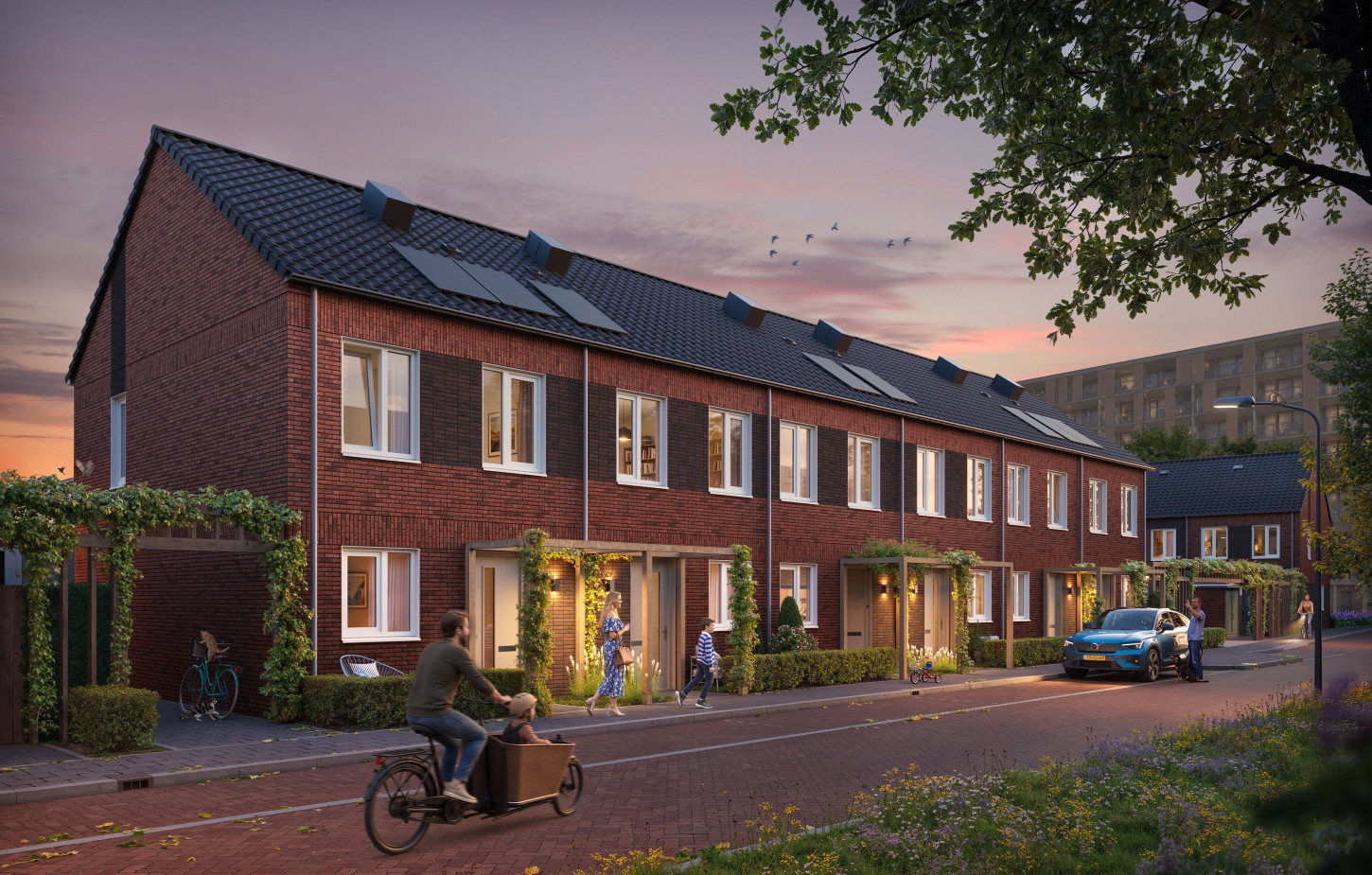 058 plegt vos 221 th morestraat 260928 02 LR