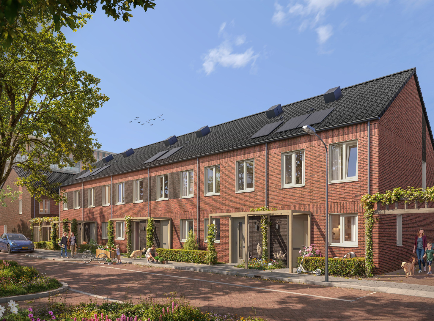 058 plegt vos 221 th morestraat 260928 04 LR