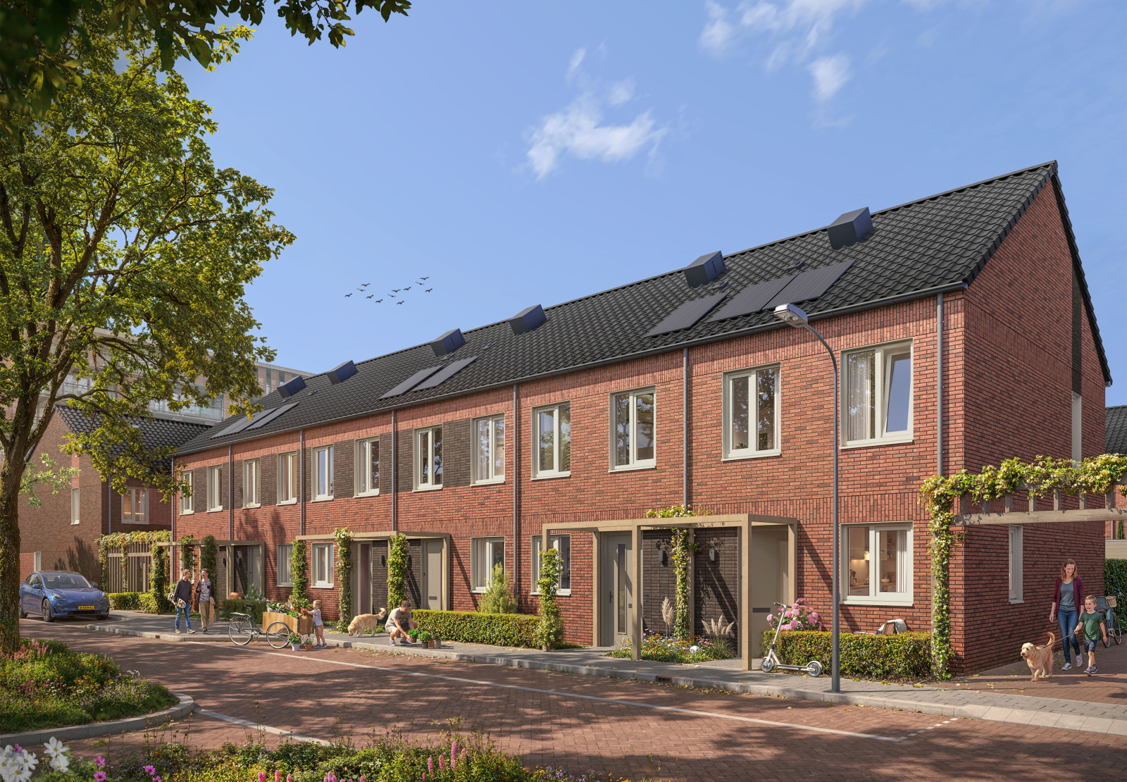 058 plegt vos 221 th morestraat 260928 04 LR