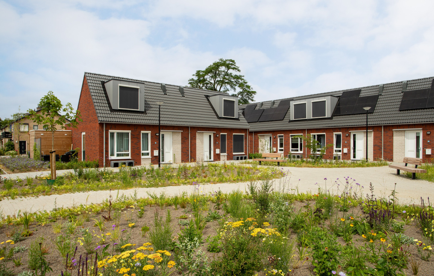Didam Bloemenbuurt 25