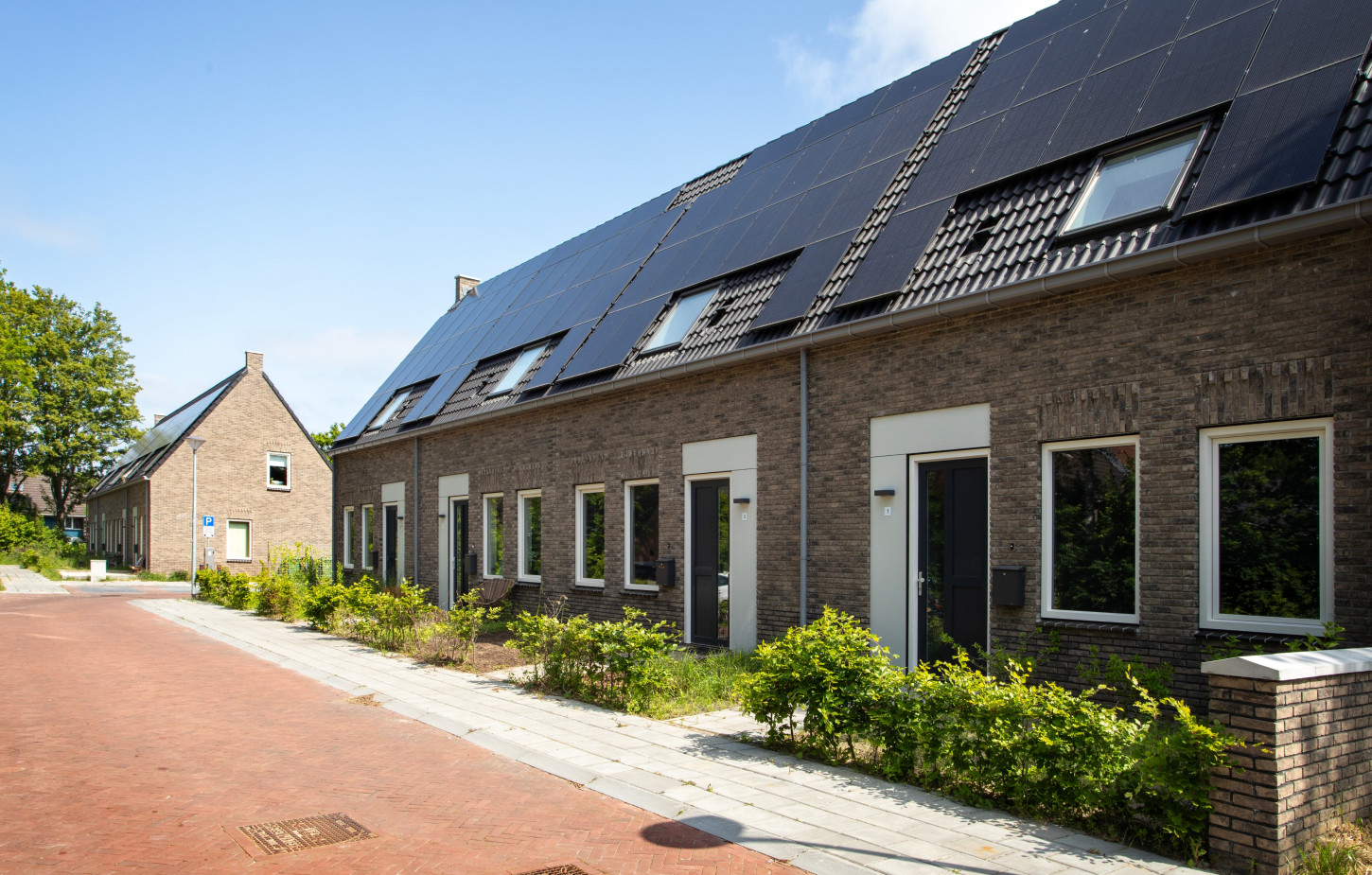 Zuidhorn Borghlocatie 03
