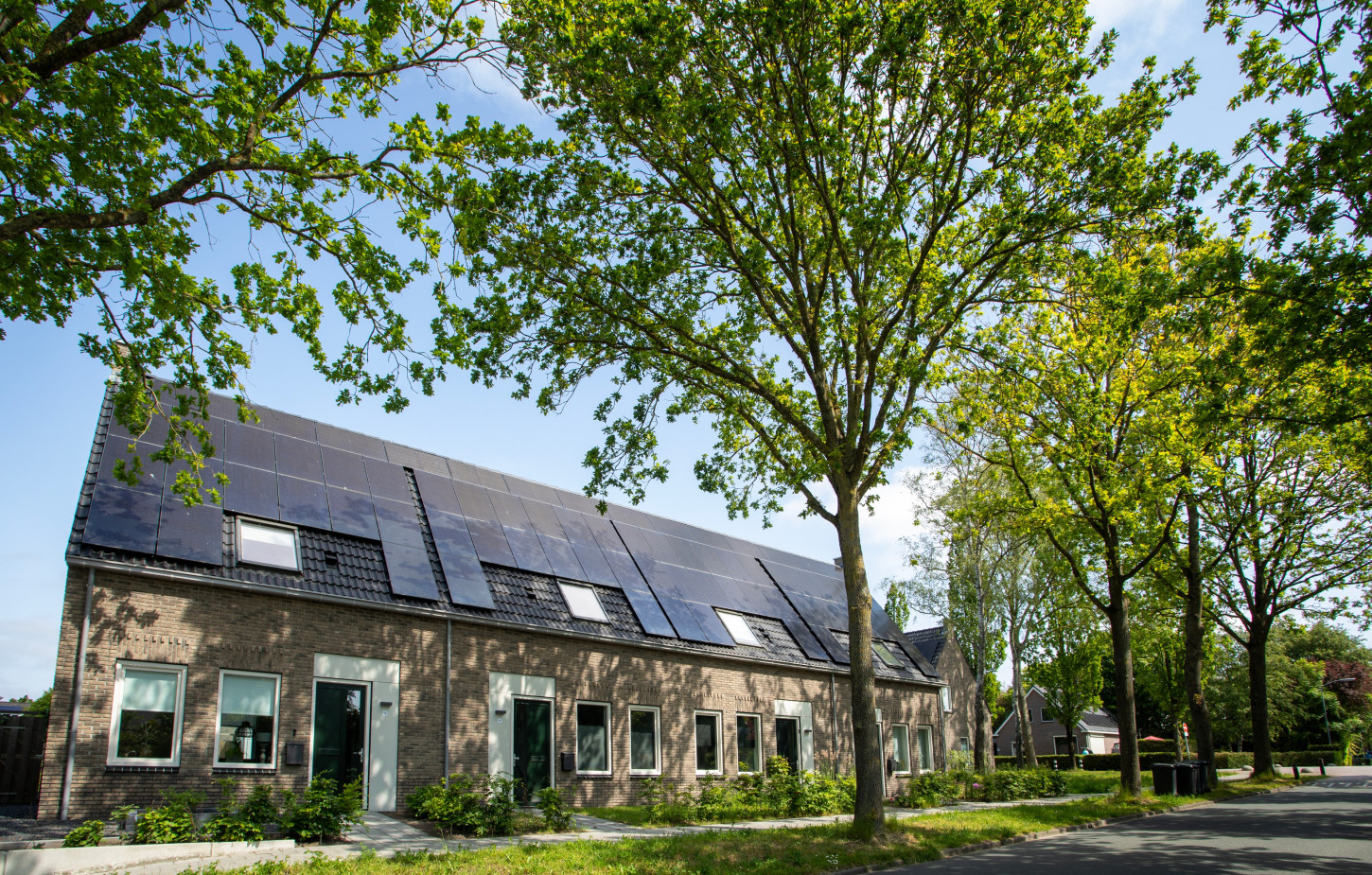 Zuidhorn Borghlocatie 06
