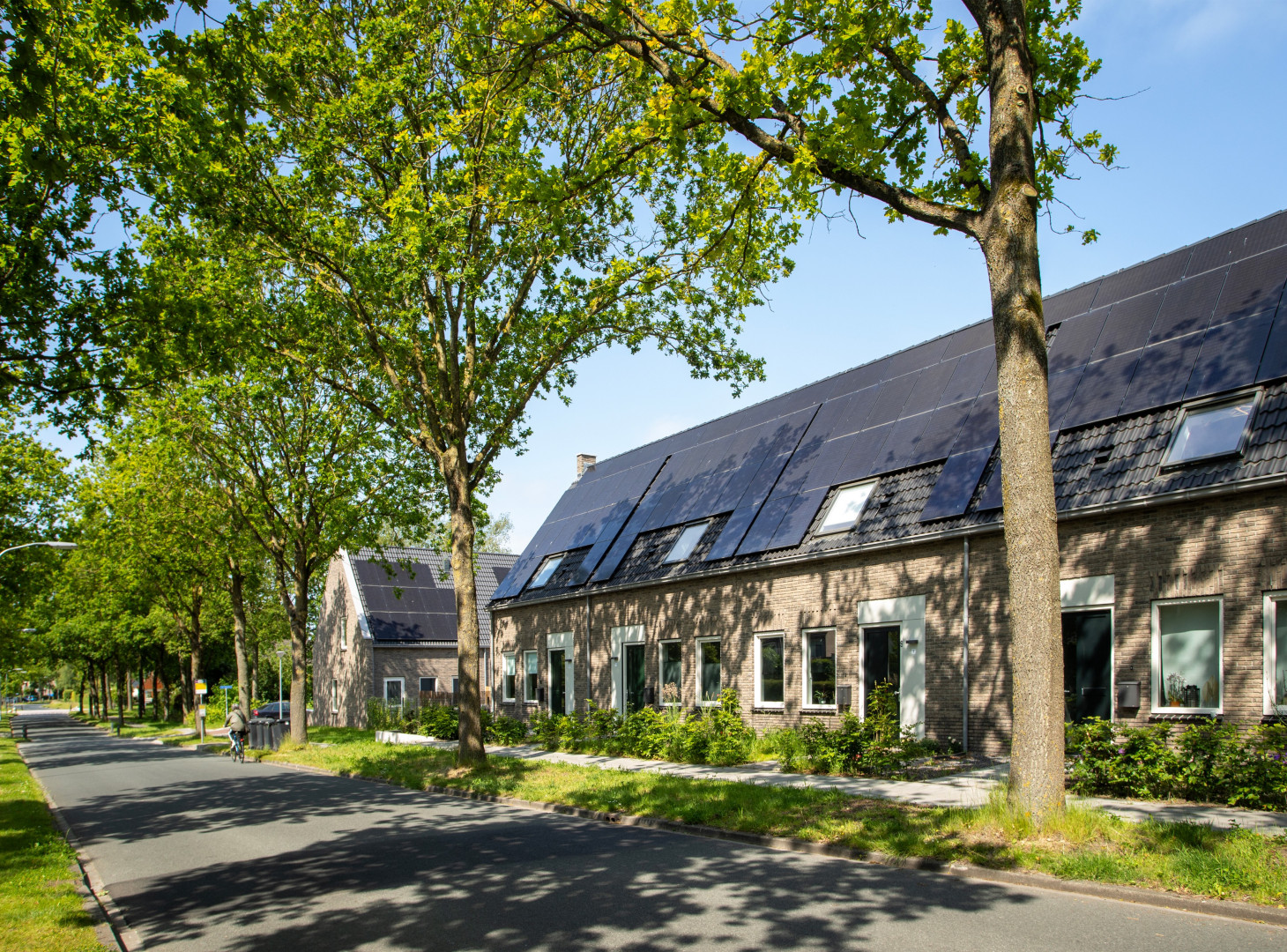 Zuidhorn Borghlocatie 10