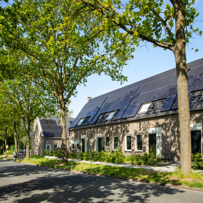 Zuidhorn Borghlocatie 10