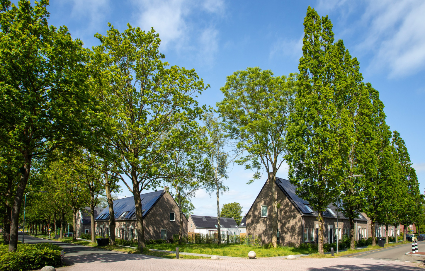 Zuidhorn Borghlocatie 11
