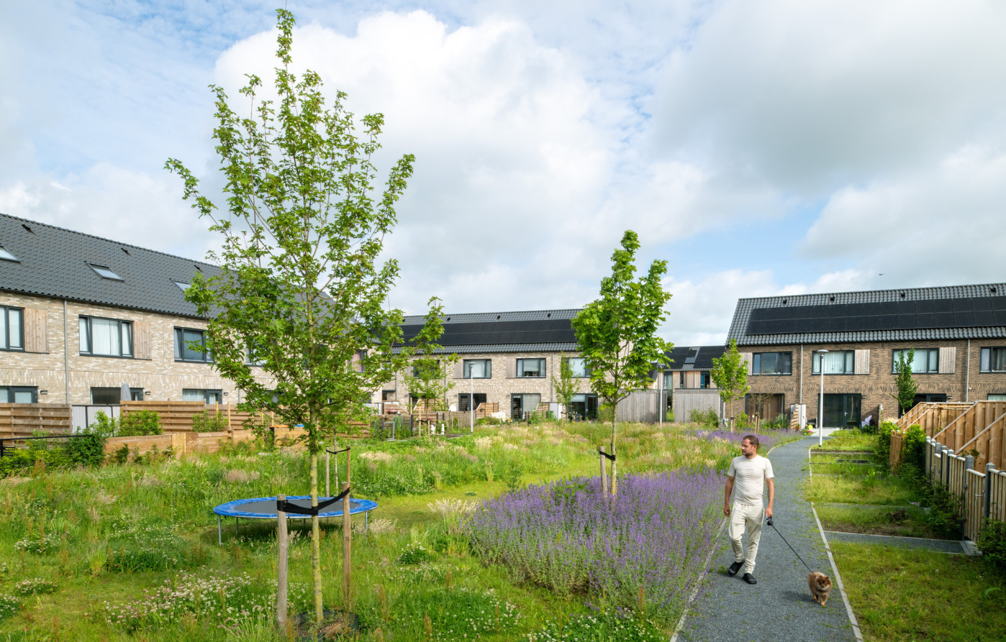 Zwolle Hatbertinkstraat CSF240098 45