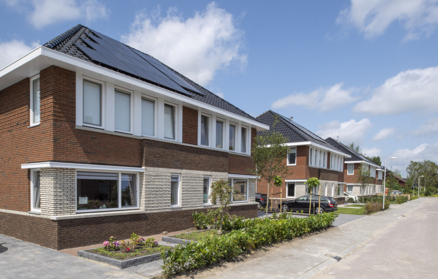 Grou De Waring CSF210156 242