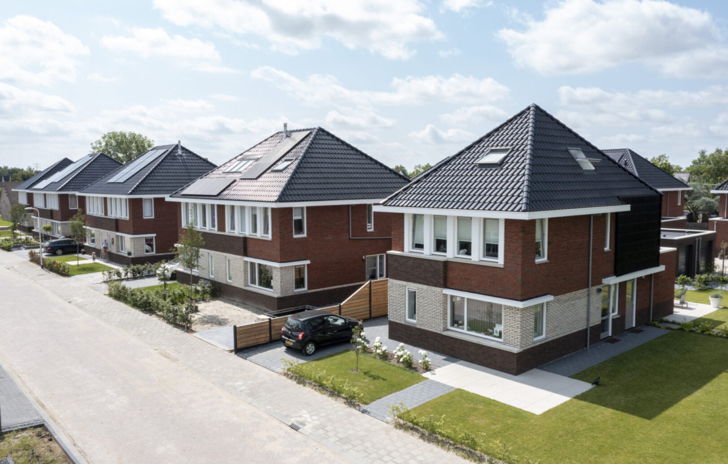 Grou De Waring en de Kupe CSF210157 230