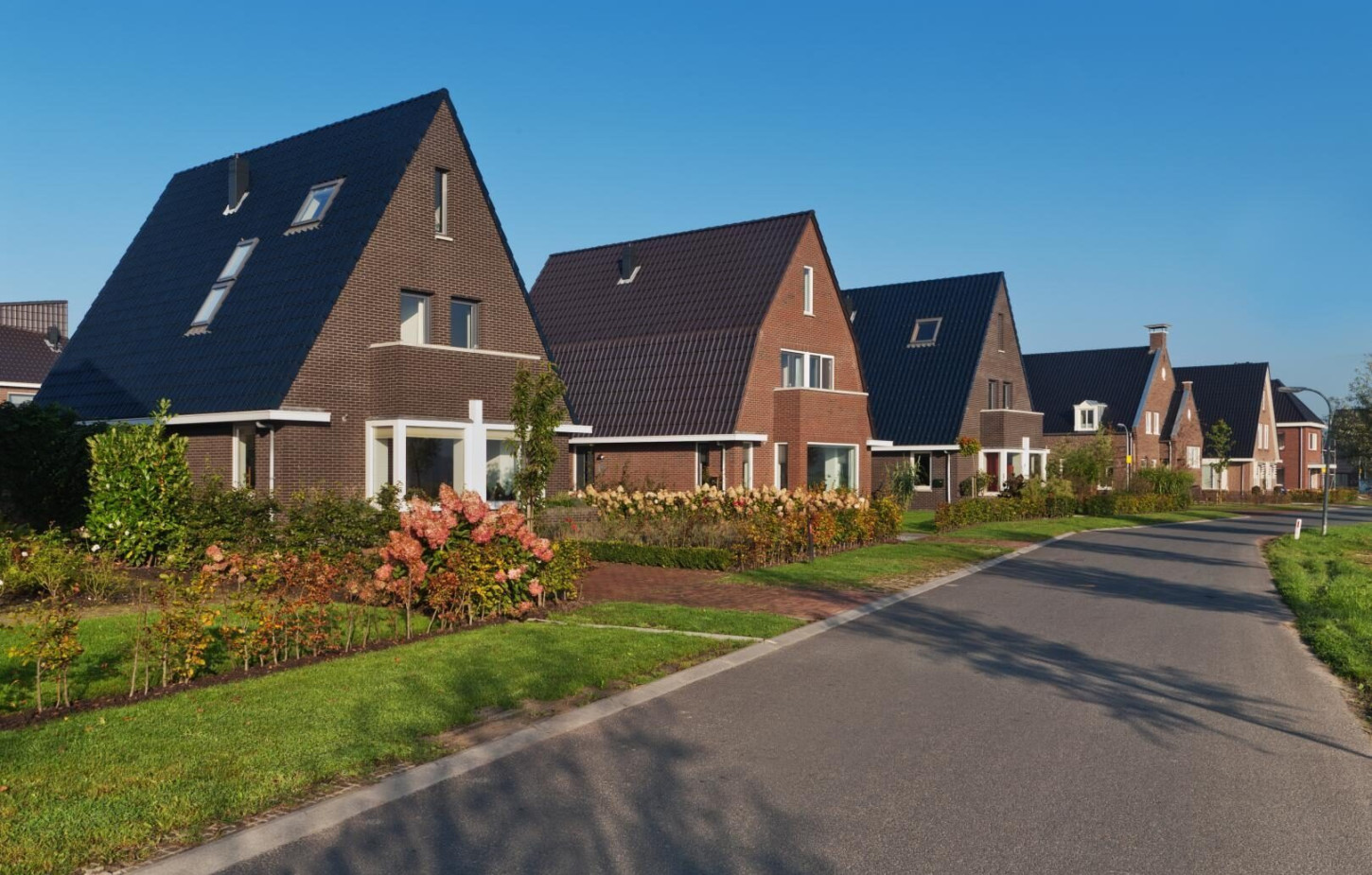 de-oostergast-zuidhorn-plegt-vos