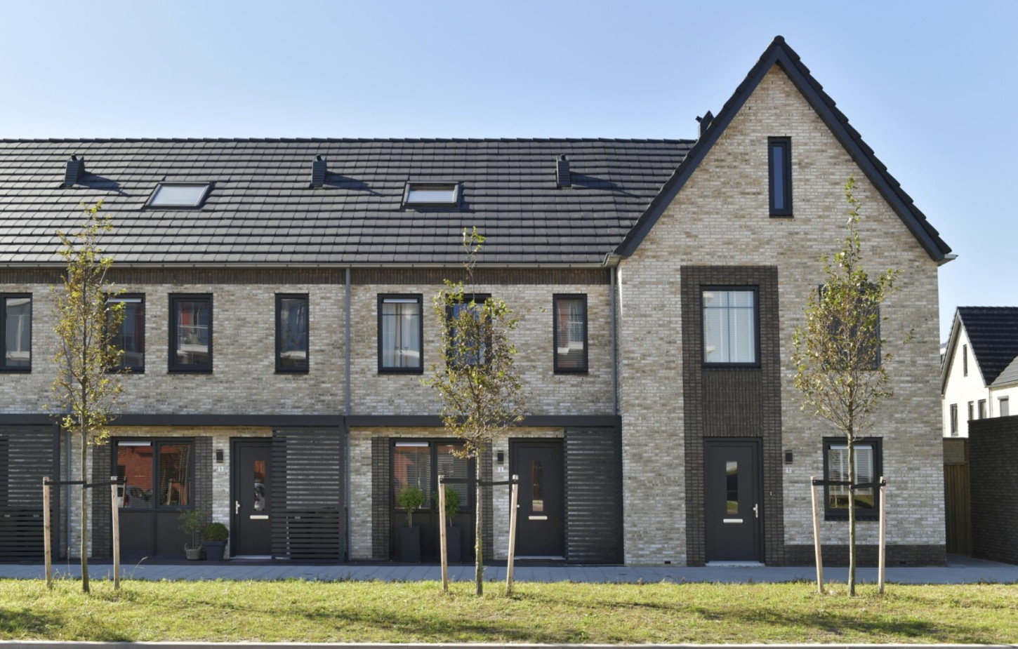 Strauspark Voorhout 181951 230