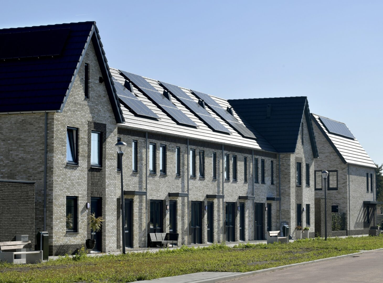 Strauspark Voorhout 181951 29