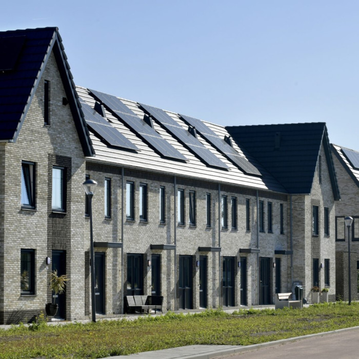 Strauspark Voorhout 181951 29
